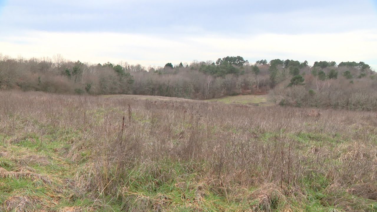 Photovoltaïque : un projet suscite l'opposition d'élus