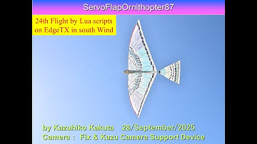 サーボ駆動羽ばたき機 SFO87 by Lua scripts on EdgeTX 　24th Flight in south Wind