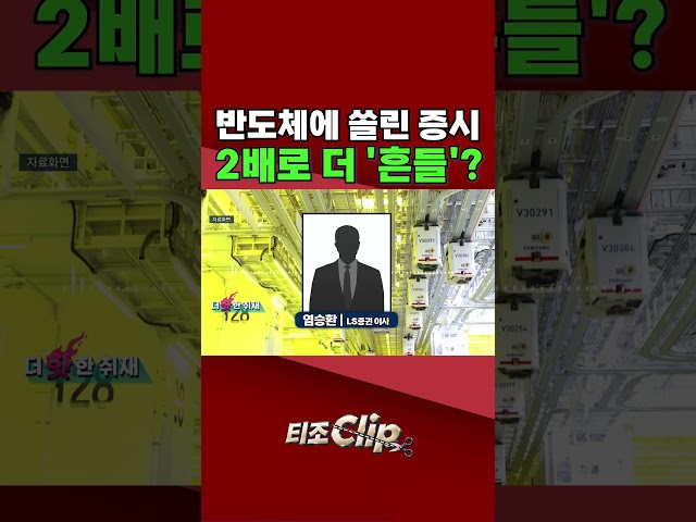 "반도체 쏠림에 변동성 더 커져"···전문가가 짚은 폭락 원인 [티조 Clip] #shorts