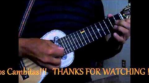 charango simple part nineteen