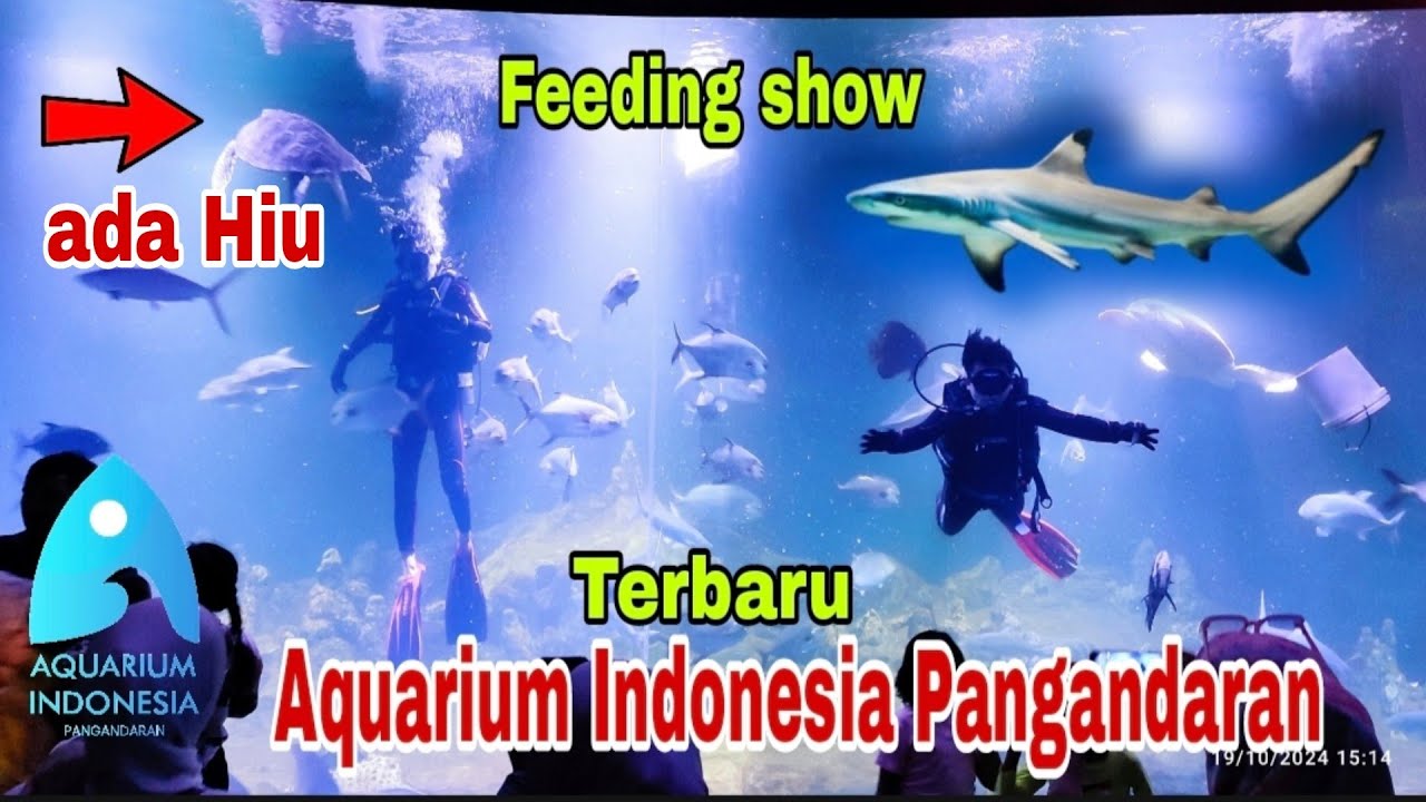 FULL EXPLORE AQUARIUM INDONESIA PANGANDARAN TERBARU, AQUARIUM TERBESAR