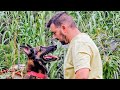 Entrenamiento extremo doble ATAQUE BRUTAL malinois 