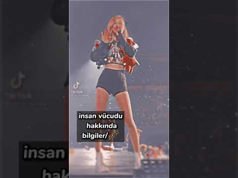 insan vücudu hakkında