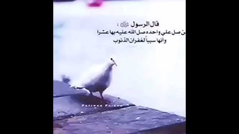 لا تنسون سوره الكهف والإكثار من الصلاه على الرسول 🌹