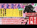 天皇賞春2026【予想/穴馬】お忘れではないですか?クロワデュノール絡みでも高配当馬券が叶う!盲点の穴馬1頭を公開!