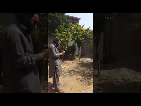 Sattar Khan Lala 333 786 Firring Video Miss You Sattar Khan Lala 