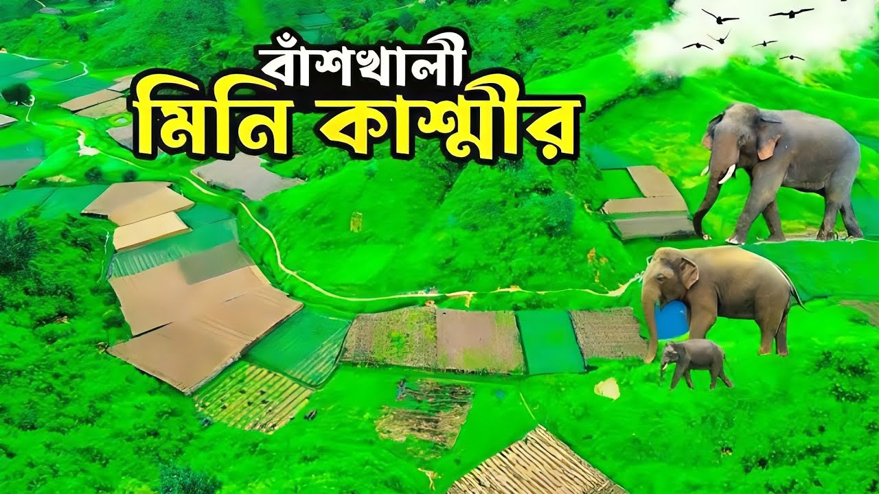  প্রকৃতির এক বিস্ময় ধরা পড়লো চট্টগ্রামের বাঁশখালীতে। সবাইমিলে  খুঁজে পেল বাংলাদেশের মিনি কাশ্মীর। 