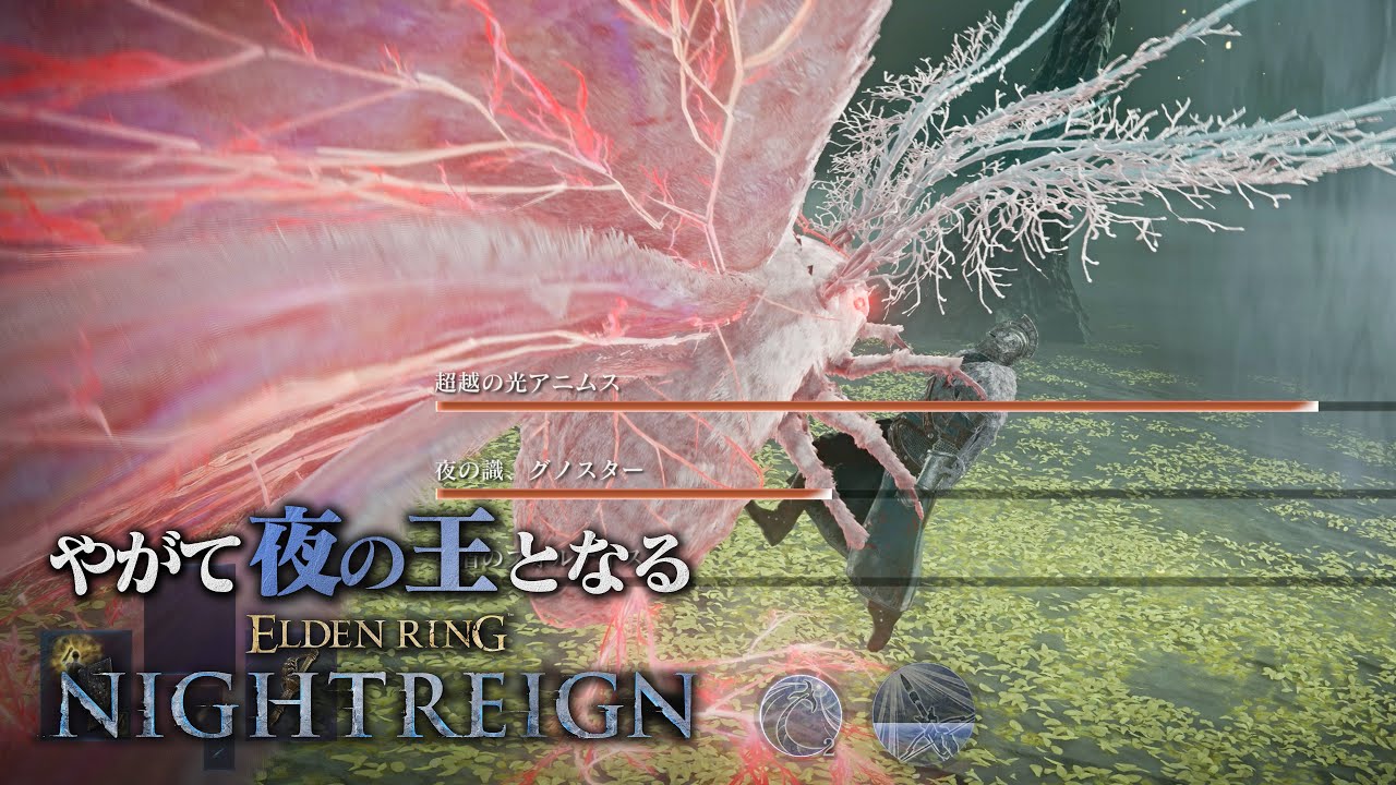 常夜の王『グノスター』のエリア外ムーブに絶望する玄人【エルデンリング ナイトレイン】