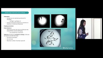 A Machine Learning Driven Phenotyping Platform for Rapid in vivo Target Validation and Precision Med