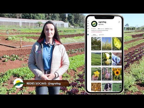 Iza na Fazenda: