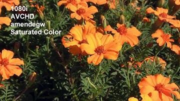 Sony Vegas Pro high quality render for YouTube and Vimeo using TDeint in MeGUI. Test 1