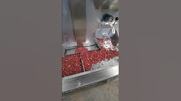 Peanut roasting machine #peanut #peanuts #peanutbutter