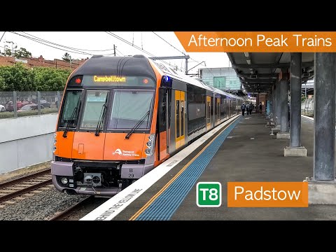 Transport for Sydney Vlog 229: Padstow - Afternoon Peak Trains