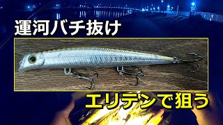 エリア10で運河バチ抜けシーバス狙った結果 - YouTube