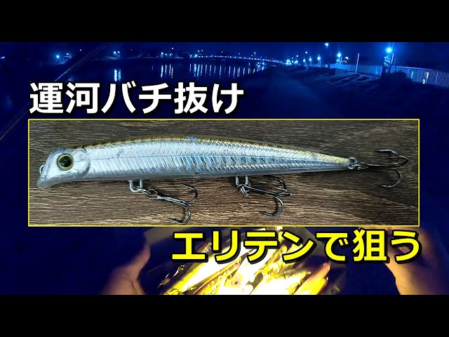 エリア10で運河バチ抜けシーバス狙った結果 - YouTube