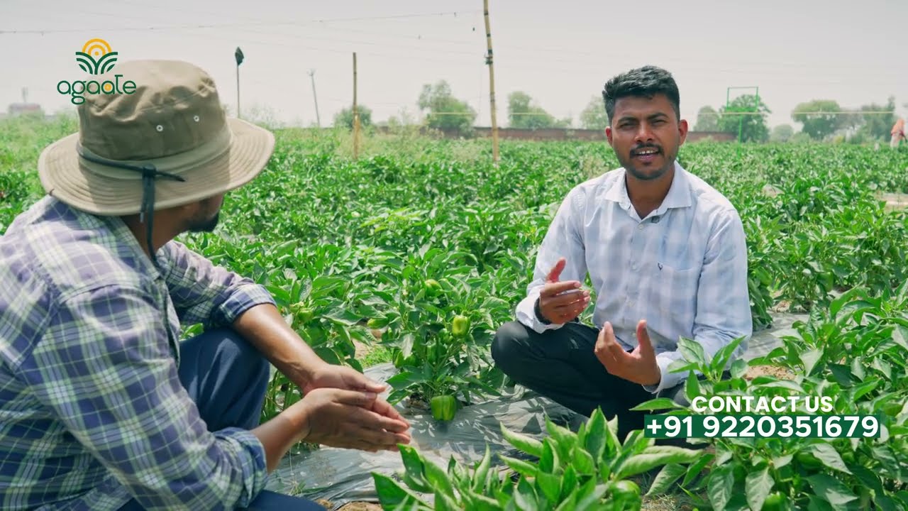 Agaate Mulching Landscape Guide – Video Production & Editing by Albela Films and Studios