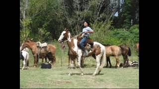 Gran Huella "Uniendo Pueblos" - DENNEHY