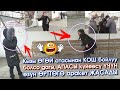 ВИДЕО: Өз КЫЗЫН эмес КЫЗДЫН өгөй АТАСЫН коргоп ӨРТТӨНҮП өлөм ДЕП ызы-чуу кылган АПА  #АкыркыКабарлар