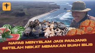 Spearfishing di Pantai Ekas Lombok | Bergelut Dengan Ombak Besar, Sebesar Harapan | Catch & Cook