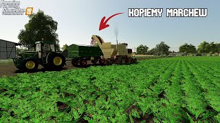 ➡️Rolnik z Wyboru #14 Kopiemy Marchew 🥕Maluszek Przetestowany 🚜 w Boju ㋡Goliszew ☆FS19☆ screenshot 2