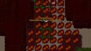 Tibia - Chacero Combos!