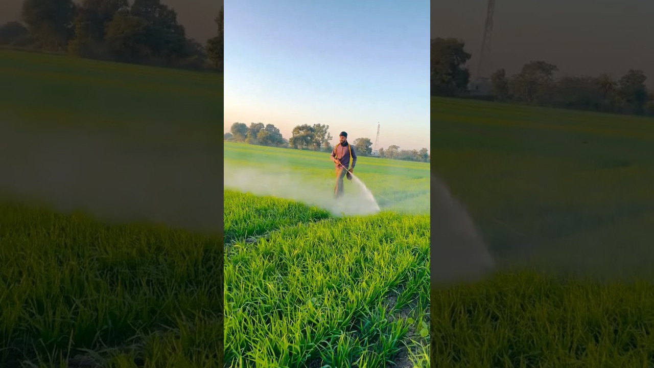 🚜 Kisan Bhaiyon Ke Liye Powerful Portable Spray Pump 