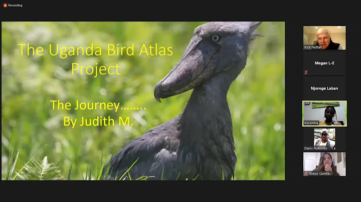 4th BDI Citizen Scientist Hour  - Judith Mirembe - Ugandan Bird Atlas