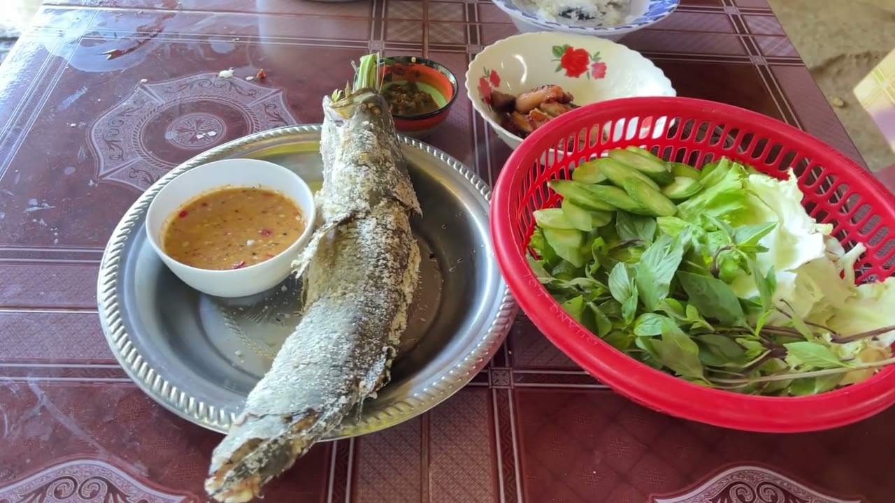 I went to pick fruit in the field.