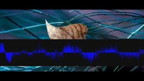 Supplicationkeynote Reharmonise oqzdhvohyv