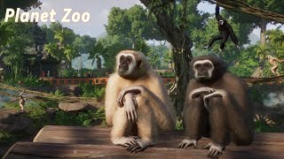 Planet Zoo - Learning how to build a zoo