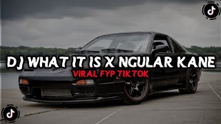 Dj What It Is X Ngular Kane Viral Fyp Tiktok Yang Kalian Cari Cari