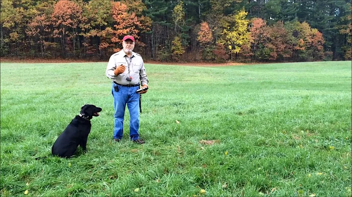 Train your retriever to deliver to hand
