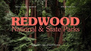 Exploring Redwood National & State Parks | Hikes, History, & Hidden Gems in California’s Giants
