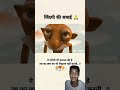 ek garibi bhi Kamal ki Hai umra ka bhi lihaj nahin karti #shorts #video