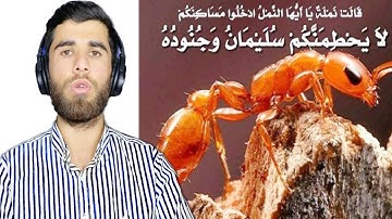 سورة النمل ( قصة سليمان عليه السلام ) قران كريم بصوت جميل جدا جدا