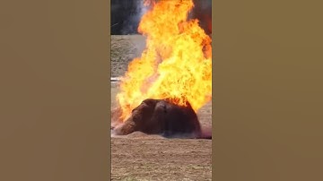 Croatian ORQA Combat FPV Drone - FIRST DEMO!