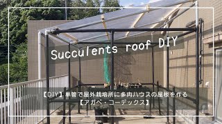 【DIY】単管で屋外栽培所に多肉ハウスの屋根を作る【アガベ・コーデックス】
