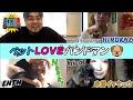親バカ炸裂!?カワイイ犬猫大集合!ペットLOVEバンドマン【HIROKAZ(04LS)/Naoki(ENTH)/中嶋イッキュウ(tricot)/STAY FREE】