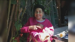 Search Continues For 91-Year-Old Woman Who Went Missing In Central LA