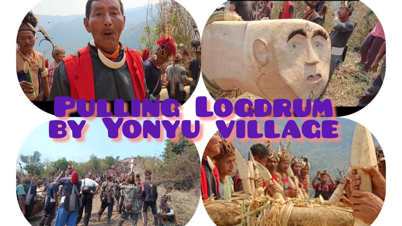 16th mar. Pulling Logdrum by Yonyu with a friends from Sangdak, Yokum, Kümpüng n Longdang village