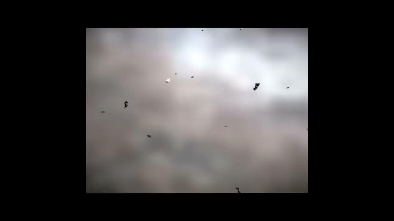 Види і типи гранат - YouTube