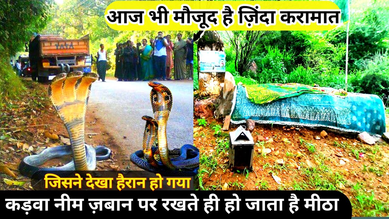 Ajmer Sharif meetha neem ki Dargah मीठा नीम की दरगाह | मीठा नीम वाले बाबा की दरगाह Ajmer TwinsAnsari