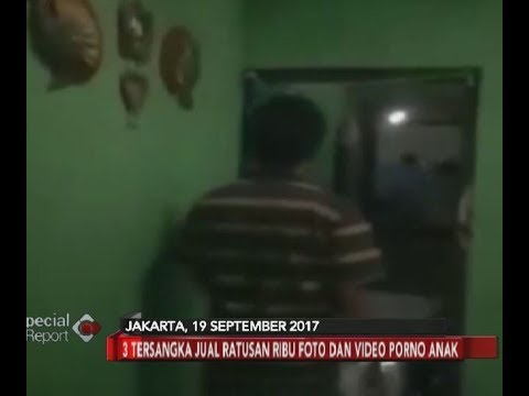 Polisi Ciduk Pelaku Penyebaran Ribuan Foto dan Video Porno Anak Sesama Jenis - Special Report 08/01