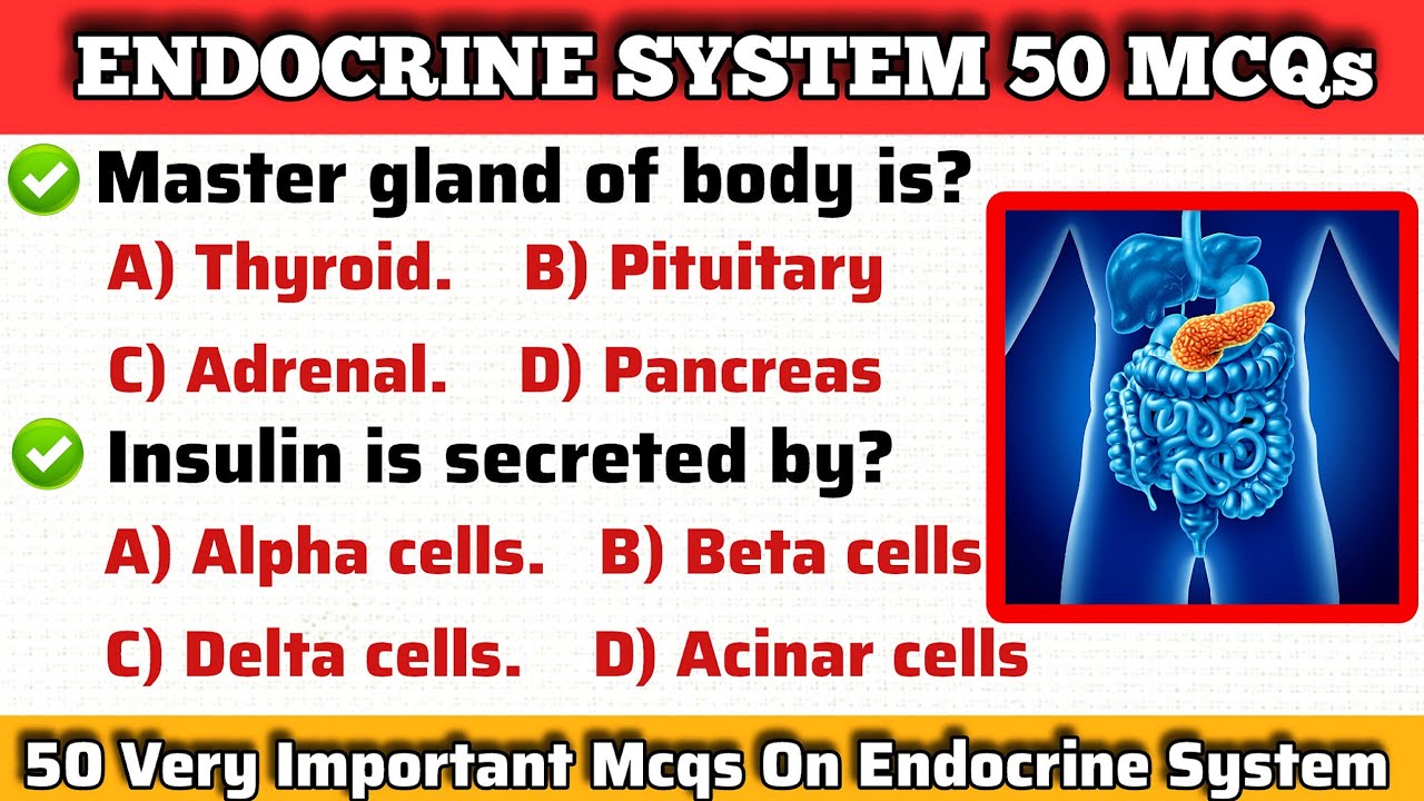 Human Endocrine System Important Mcq Questions and Answers | 50  MCQs On Human Endocrine System |
