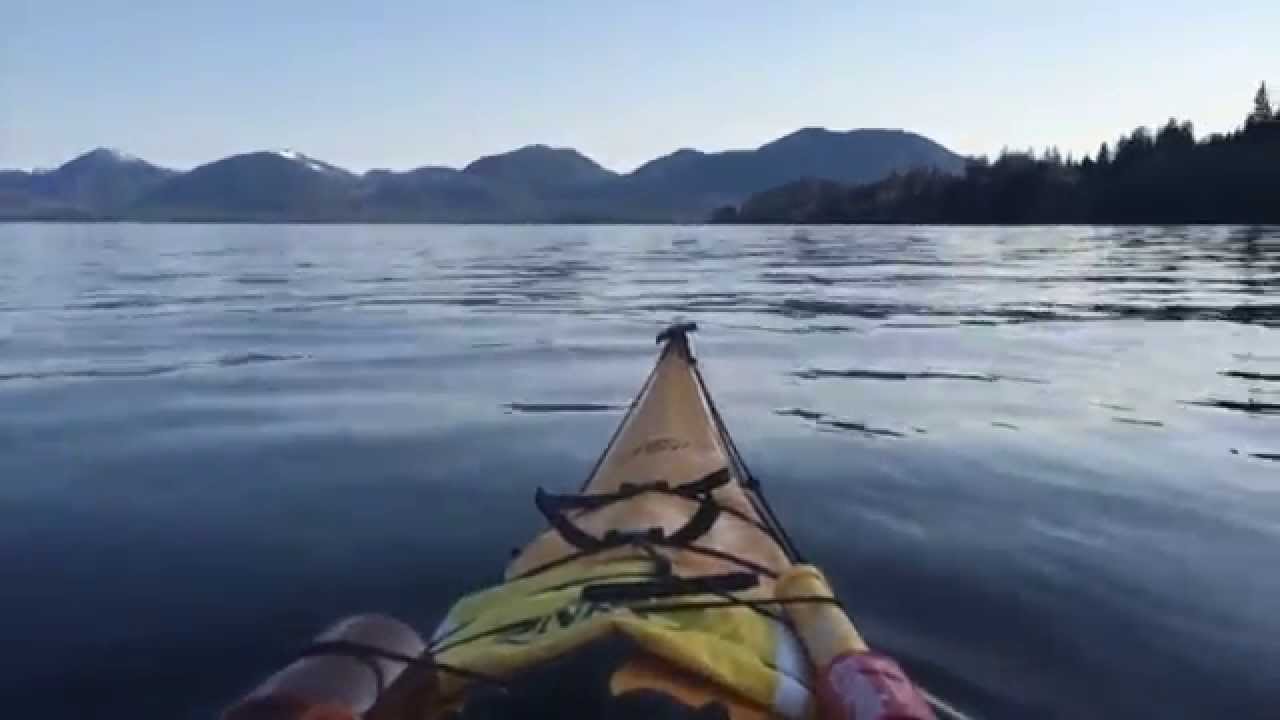 Kayaking with Orca YouTube