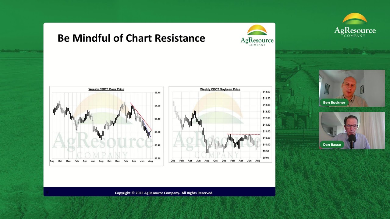 What Does Pro Farmer Estimate Mean for National US Corn Yield?