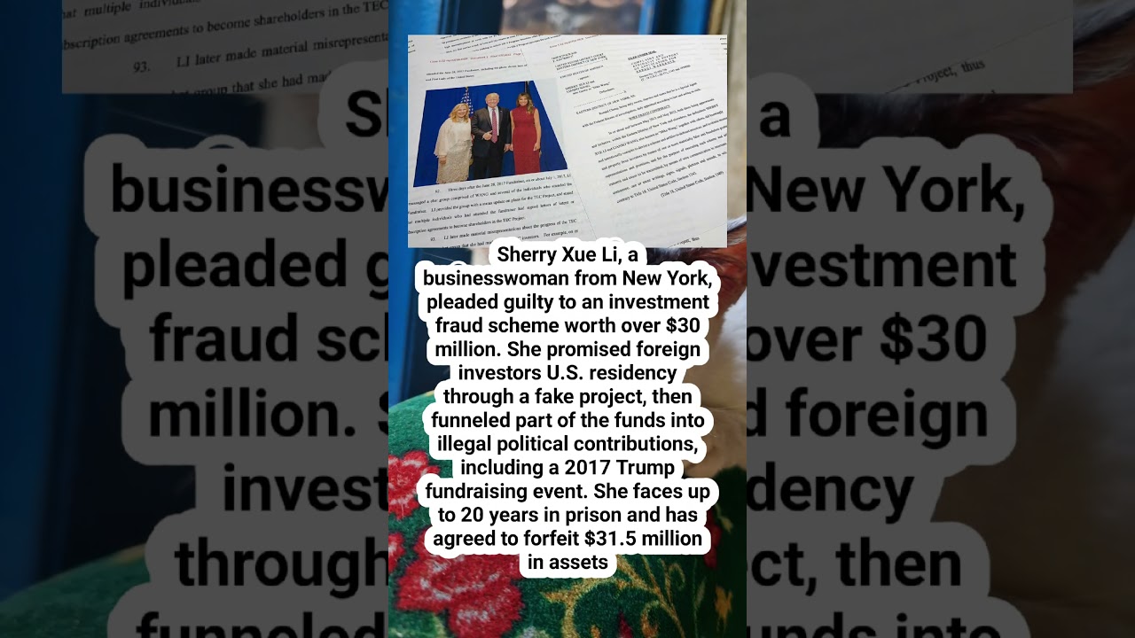 New York woman who duped investors, funneled money to 2017 Trump fundraiser pleads guilty 