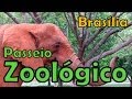 Jardim Zoológico de Brasilia - DF (veja em Full HD)