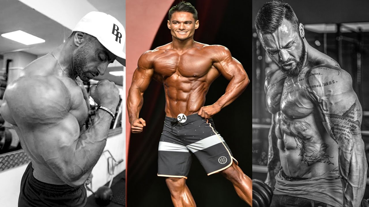 Top 5 Men's Physique Übungen: Tipps für Wettkampf Fitness Athleten ft IFFB Pro Murat Demir & Jil essay about family