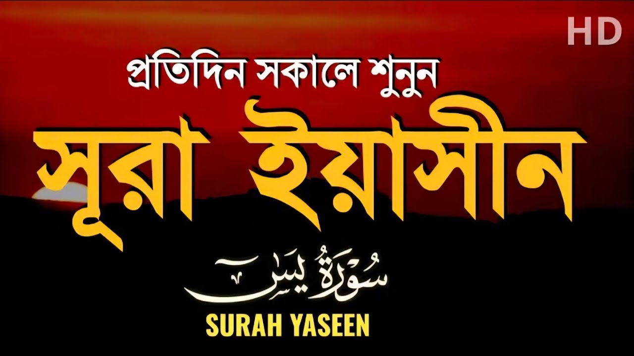 প্রতিদিন সকালে শুনুন - সূরা ইয়াসীন |(سورة يس)| Surah Yasin | সকালের সেরা আমল | BY ISMAIL NURI